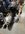 IMG_0125.jpeg