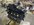 IMG_5687.jpeg