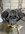 IMG_5685.jpeg