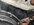 IMG_0471.jpeg