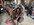 IMG_6852.jpeg