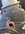 IMG_0493.jpeg