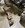 IMG_4443.jpeg