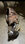 IMG_4444.jpeg