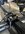 IMG_7742.jpeg