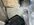 IMG_7383.jpeg