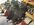 IMG_7392.jpeg