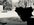 IMG_7397.jpeg
