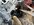 IMG_0169.jpeg