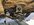 IMG_0171.jpeg