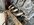 IMG_0173.jpeg
