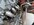 IMG_0174.jpeg