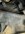 IMG_2636.jpeg