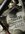 IMG_2639.jpeg