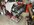 IMG_6334.jpeg