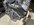 IMG_6335.jpeg