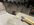 IMG_6336.jpeg