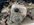 IMG_6339.jpeg