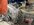 IMG_6340.jpeg