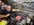 IMG_0752.jpeg