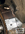 1709670448112.png