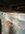 IMG_0318.jpeg IMG_0318.jpeg
