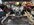 IMG_0204.jpeg