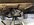 IMG_0205.jpeg