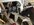 AC72307B-85C2-4621-A759-C3F6A3AF646C.jpeg
