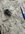 IMG_9072.jpeg