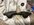 IMG_9225.jpeg