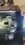 20240304_103629.jpeg