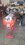 20240306_142411.jpeg