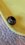 20240307_100450.jpeg