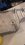 20240308_150028.jpeg