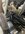 IMG_7781.jpeg