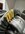 IMG_7782.jpeg