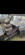 IMG_1185.png