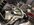 IMG_6961.jpeg
