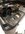 IMG_6962.jpeg