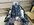 IMG_7527.jpeg