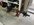 IMG_7793.jpeg