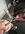IMG_1971.jpeg