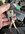 IMG_1980.jpeg