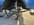 IMG_1147.jpeg