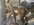1710452929716.jpeg