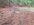 4AD40653-804B-4F13-8834-E98ED0237BC7.jpeg