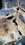 IMG_4461.jpeg
