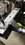 IMG_7822.jpeg