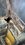 IMG_4465.jpeg